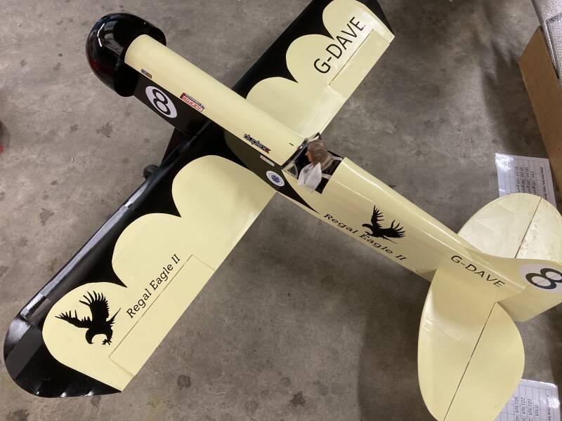 Used Plane Regal Eagle II 2.000mm Span #210314 #042 XXL (Customer owned)