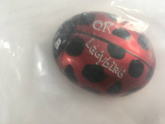 Drone Quadcopter Body QR Ladybird Z-02 RED Packed