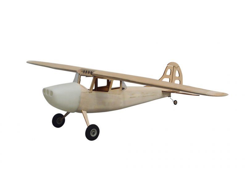 Cessna L-19 Bird Dog / 750 mm