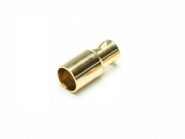 Goldbuchse 6,0 mm (VE=50)