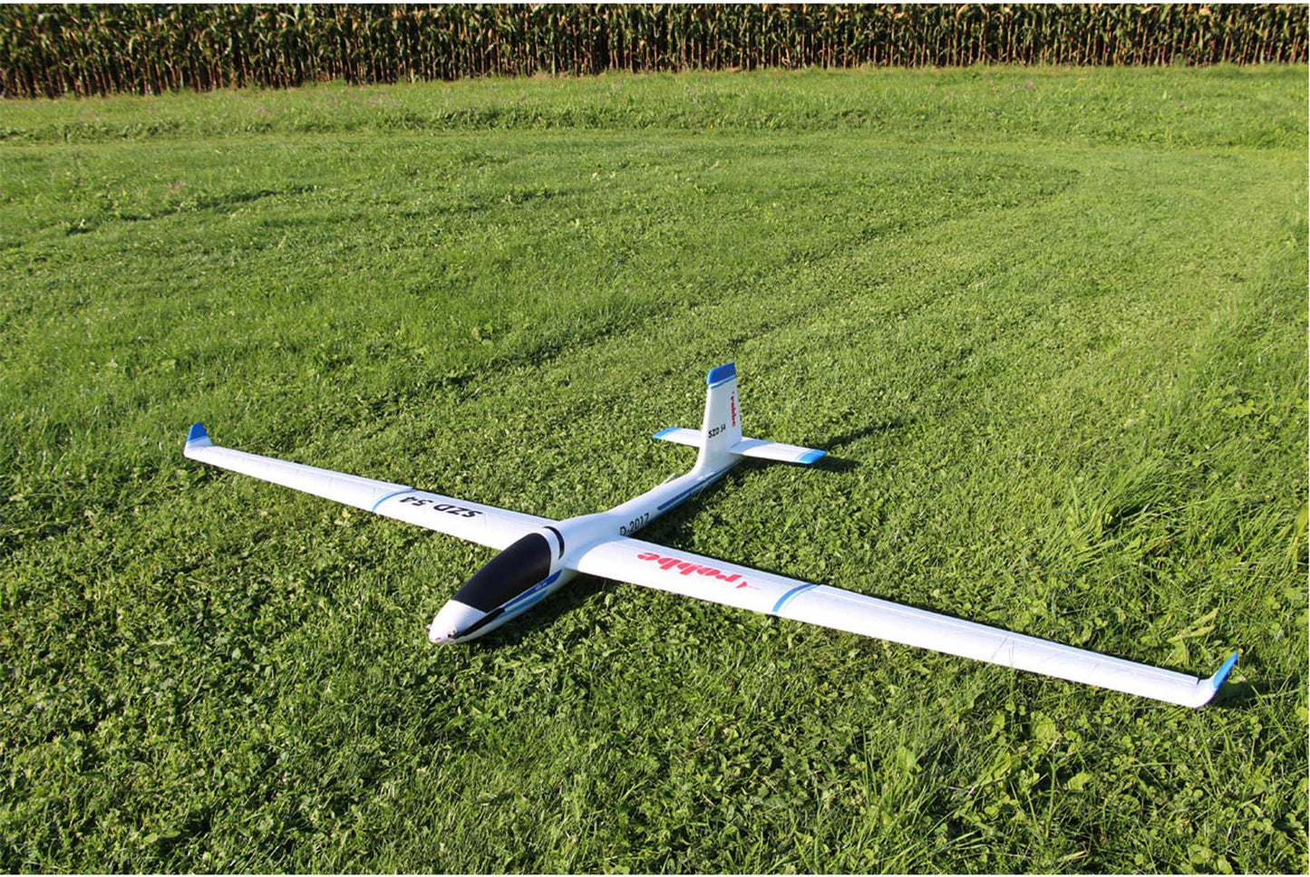 Robbe Modellsport SZD-54 KUNSTFLUGSEGLER AUS EPO PNP