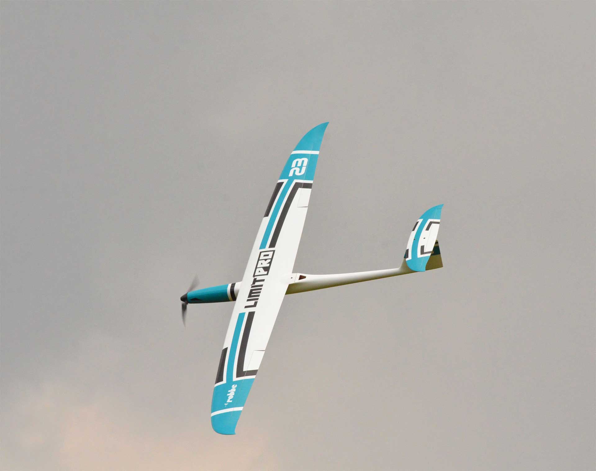 Robbe Modellsport Limit Pro ARF PETROL Voll-GfK/CfK