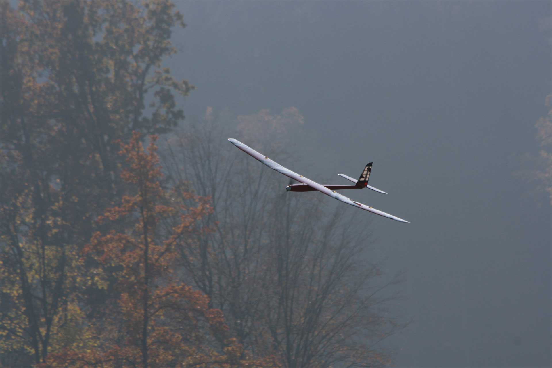 Robbe Modellsport Slider QE High Performance 4-Klappen Elektroflugmodell, Sperrholz/Balsa-Holzbausatz  "made in Austria"