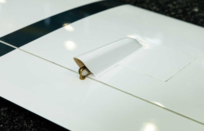 Robbe Modellsport EVOA 3.0 PNP VOLL-GFK "Segler" HOCHLEISTUNGSSEGLER MIT 4-KLAPPENFLÜGEL