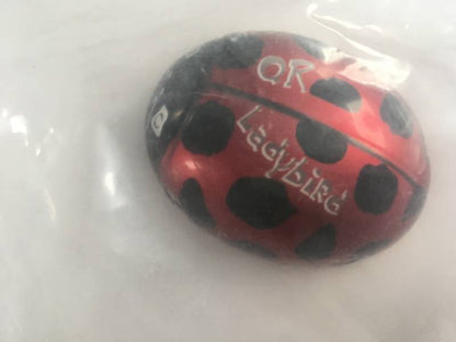 Drone Quadcopter Body QR Ladybird Z-02 RED Packed