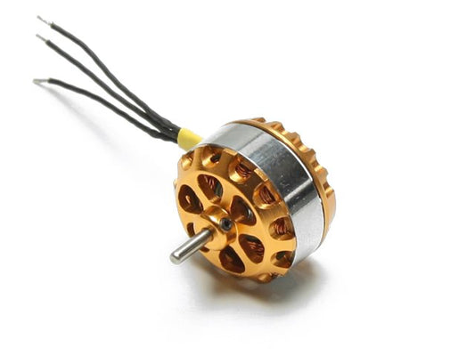Brushless Motor Schnurzz 13G / KV=1600