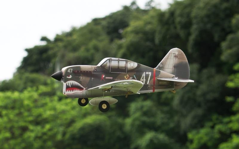 P-40 Flying Tigers / 320 mm